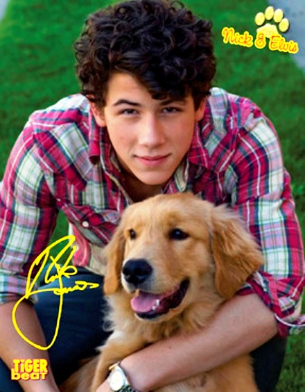 nick-jonas-339304