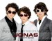jo-bros-the-jonas-brothers-17134929-1280-1024